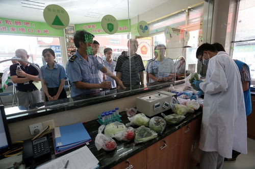 食用農產品抽檢全合格，人大代表政協委員現場見證助力零售安全